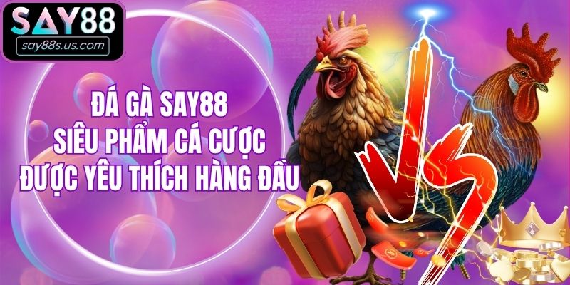 Đá Gà Say88 - Siêu Phẩm Cá Cược Được Yêu Thích Hàng Đầu