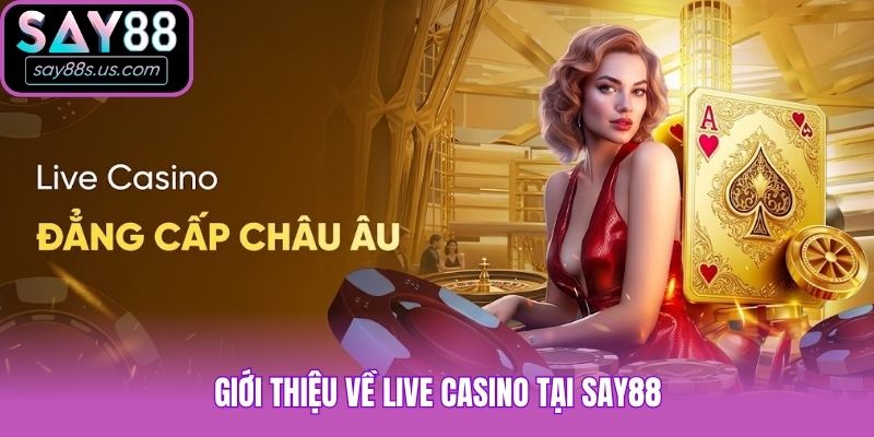 Giới thiệu về Live Casino tại Say88