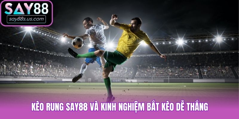 Kèo rung Say88 và kinh nghiệm bắt kèo dễ thắng