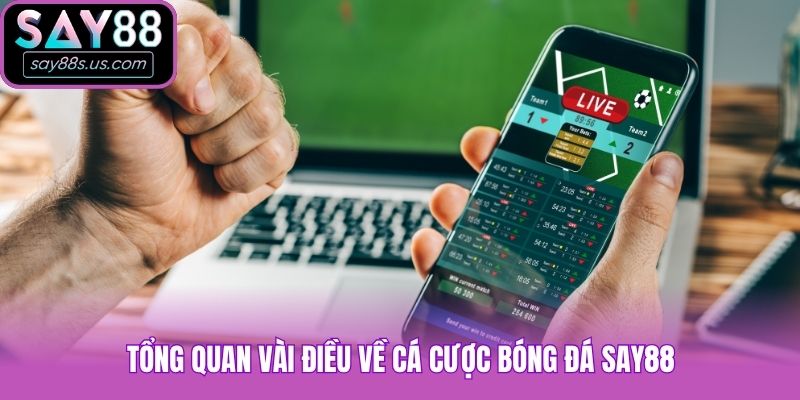 Tổng quan vài điều về cá cược bóng đá Say88
